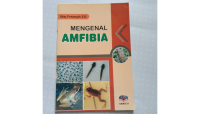 Image of MENGENAL AMFIBIA